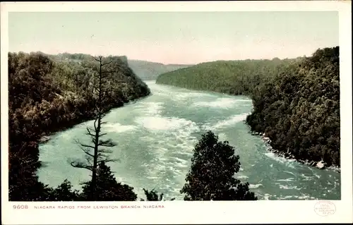 Ak Niagara New York USA, Niagara Rapids von der Niederlassung in Lewiston