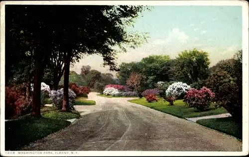 Ak Albany New York USA, Washington Park