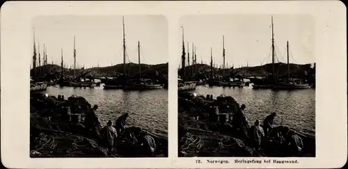 Stereo Foto Haugesund Norwegen, Heringsfang, Fischer