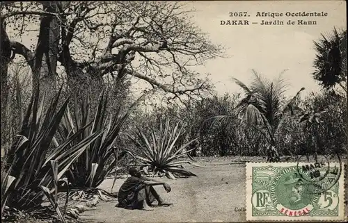 Ak Dakar Senegal, Garten von Hann