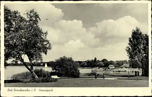 Ak Bad Zwischenahn in Oldenburg, Strandpark