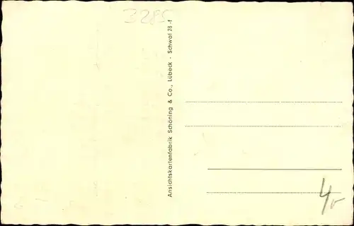 Ak Schwalenberg in Lippe, Rathaus, Fachwerkhäuser