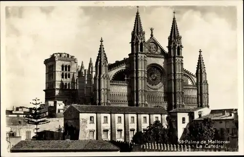 Ak Palma de Mallorca Balearische Inseln, Kathedrale