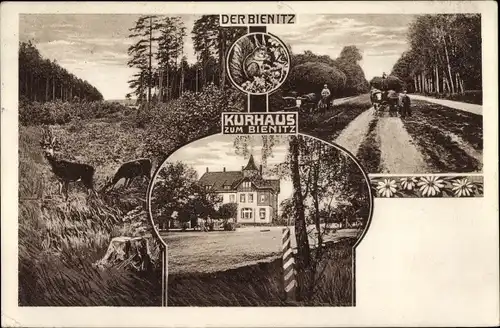 Ak Burghausen Rückmarsdorf Leipzig in Sachsen, Kurhaus zum Bienitz