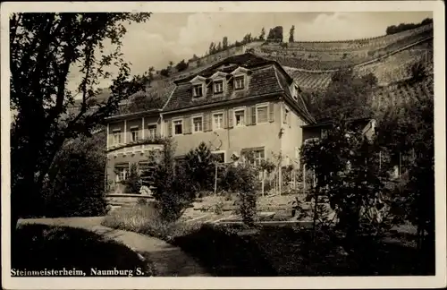 Ak Naumburg Saale, Steinmeisterheim, Weinberg, Gebäude und Vorgarten