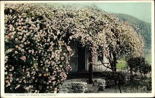Ak Kalifornien USA, eine Heimat der Rosen