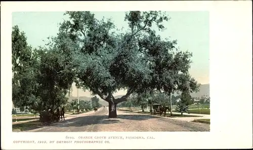 Ak Pasadena, Kalifornien, USA, Orange Grove Avenue