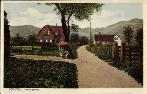 Ak Schoorl Nordholland Niederlande, Koningsweg