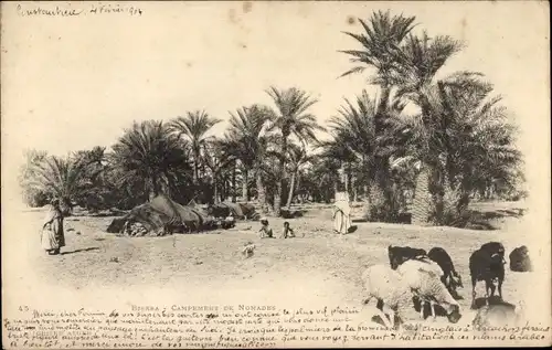 Ak Biskra Algerien, Nomad Camp