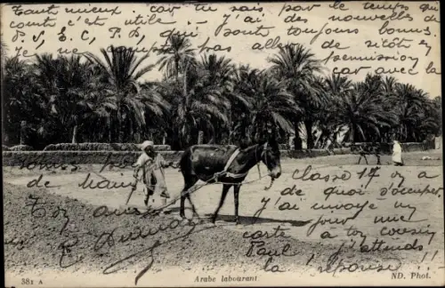 Ak Arabischer Bauer, Ackerarbeit, Maultier