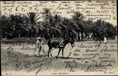 Ak Arabischer Bauer, Ackerarbeit, Pferd, Landwirtschaft