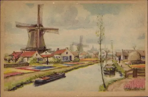 Ak Niederlande, Landschaft mit Windmühlen, Blumenfelder