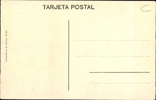 Ak Elche Valencia Spanien, Ernte von Datteln