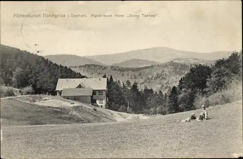 Ak Hohegeiß Braunlage im Oberharz, Hotel Dicke Tannen, Panorama