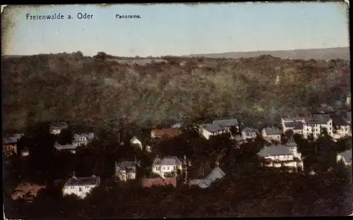 Ak Bad Freienwalde an der Oder, Panorama