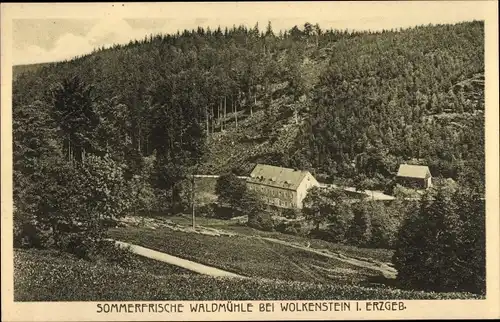 Ak Wolkenstein im Erzgebirge, Waldmühle, Panorama