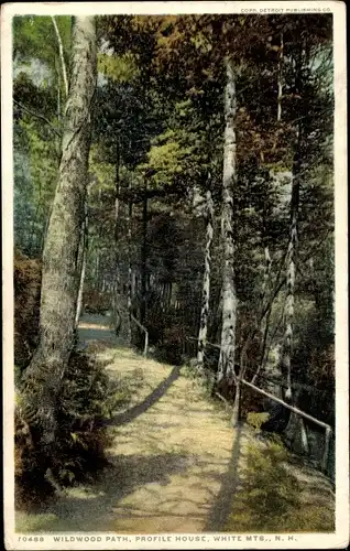 Ak PC White Mountains New Hampshire USA, Wildwood Path, Profilhaus