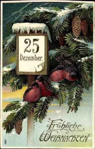Präge Litho Glückwunsch Weihnachten, Kalender, 25 Dezember, Vögel