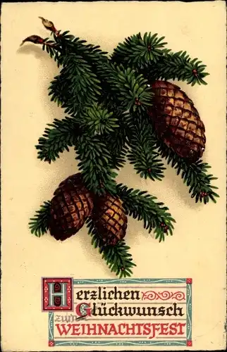 Ak Glückwunsch Weihnachten, Tannenzweig mit Zapfen