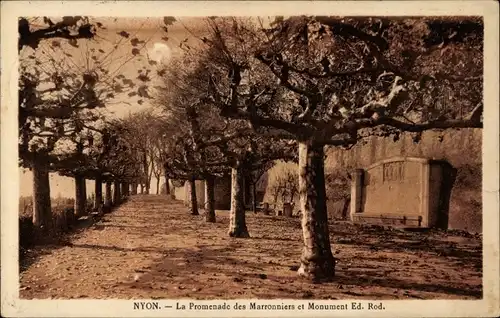 Ak Nyon, Kanton Waadt, Promenade des Marronniers und Monument Ed. Rod.