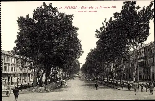 Ak Malaga Andalusien Spanien, Alameda de Alfonso XIII