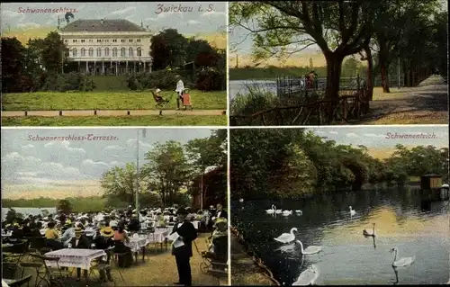 Ak Zwickau in Sachsen, Schwanenschloss, Terrasse, Schwanenteich