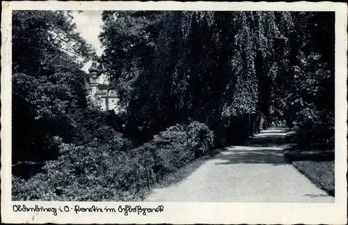 Ak Oldenburg im Großherzogtum Oldenburg, Schlosspark