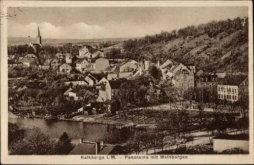 Ak Rüdersdorf bei Berlin, Kalkberge, Panorama mit Weinbergen