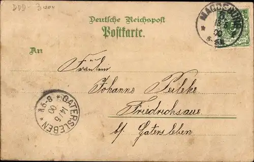 Litho Magdeburg, Alter Markt, Dom, Dampfer, Hasselbach Brunnen