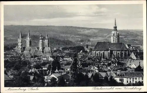 Ak Naumburg an der Saale, Totalansicht vom Kirschberg, Dom