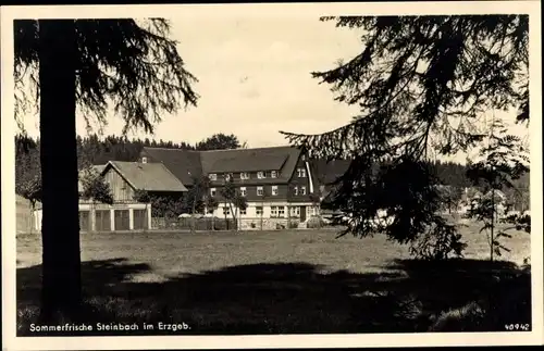 Ak Steinbach Johanngeorgenstadt im Erzgebirge. Fremdenhof Waldesruhe