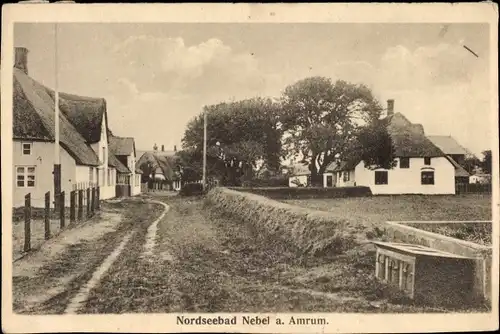 Ak Nebel auf der Insel Amrum Nordfriesland, Teilansicht