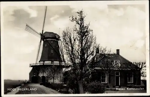 AK Schöne Niederlande, Weidenmühle