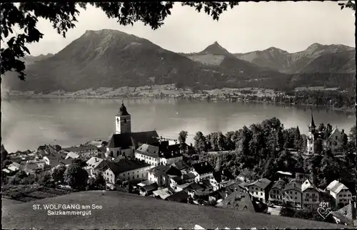 Ak St. Wolfgang am Wolfgangsee Oberösterreich, Panorama