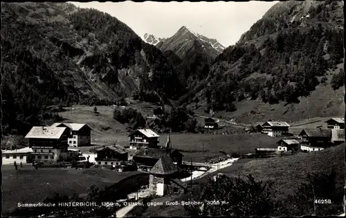 Ak Hinterbichl Prägraten am Großvenediger in Tirol, Teilansicht