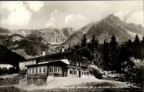 Ak Scheffau am Wilden Kaiser Tirol, Alpengasthof Steinacker