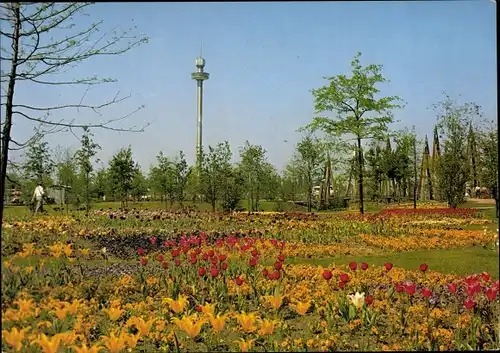 Ak Berlin, Bundesgartenschau 1985, Blumenbeete
