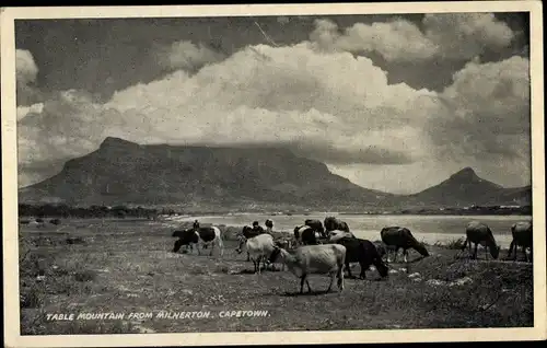 Ak Kapstadt Kapstadt Südafrika, Tafelberg von Milnerton