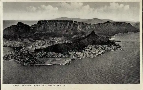 Ak Kaphalbinsel Kapstadt Kapstadt Südafrika, Die Vögel Sehen Sie es.
