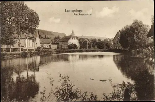 Ak Lamspringe in Niedersachsen, Partie am Auenteich