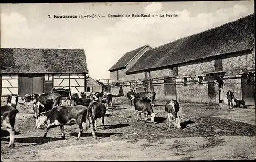 Ak Souesmes Loir et Cher, Domaine de Bois Rose, la Ferme