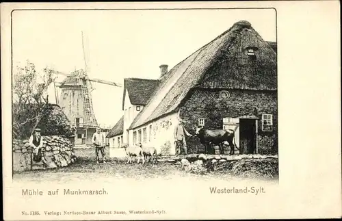 Ak Munkmarsch Sylt in Nordfriesland, Windmühle, Bauernhof