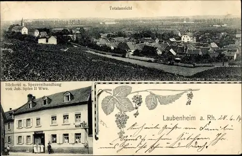 Ak Laubenheim Mainz am Rhein, Bäckerei und Spezereihandlung, Totalansicht
