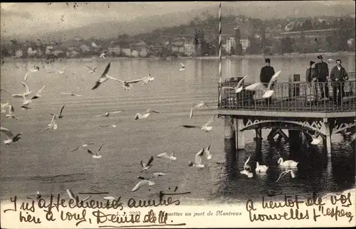 Ak Territet Montreux Kt. Waadt, Möwen im Hafen