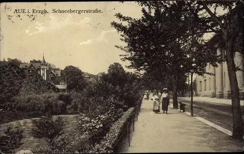 Ak Aue im Erzgebirge Sachsen, Schneeberger Straße