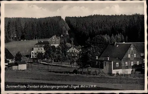 Ak Steinbach Johanngeorgenstadt im Erzgebirge, Teilansicht