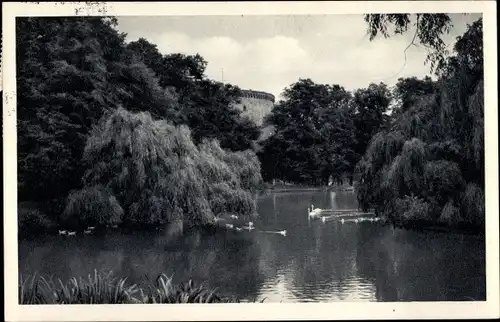 Ak Goslar am Harz, Zwingerteich