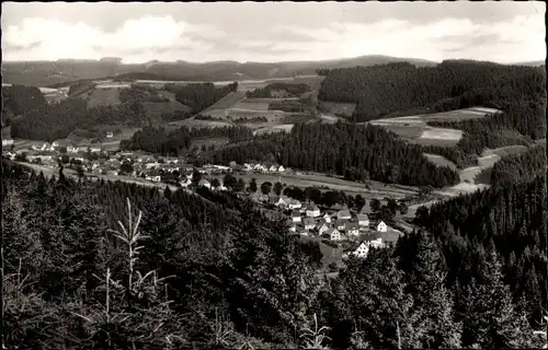 Ak Steinwiesen in Oberfranken, Frankenwald, Panorama