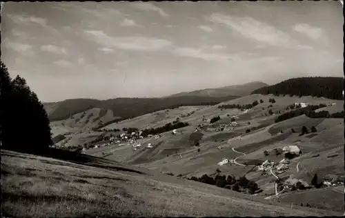 Ak Todtnauberg Todtnau im Schwarzwald, Panorama