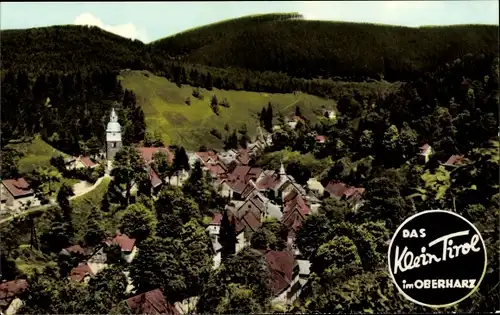 Ak Wildemann Clausthal Zellerfeld im Oberharz, Totalansicht